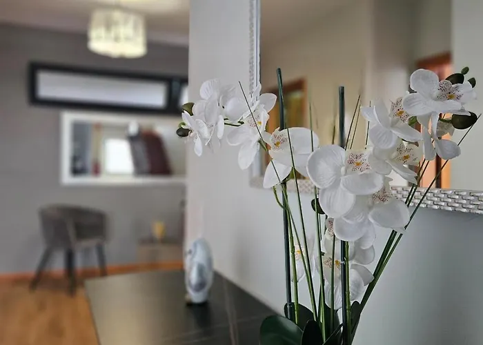 Barros Σπίτι διακοπών Câmara de Lobos