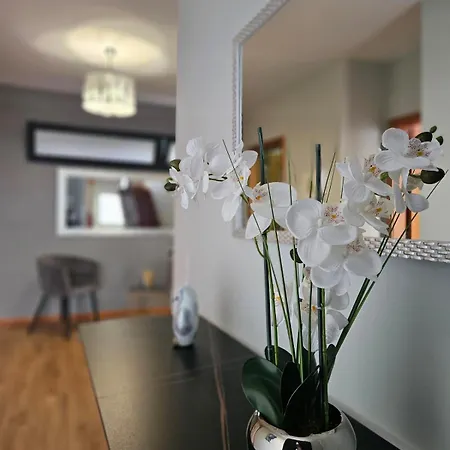 Barros Holiday home Camara de Lobos